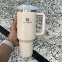 خرید تراول ماگ استنلی دسته‌دار ۱.۱۸ لیتر رنگ گلبهی | Stanley Quencher H2.0 اورجینال گرید A